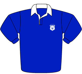 Blue - Classic Rugby Shirt