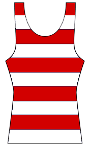 Custom Singlet