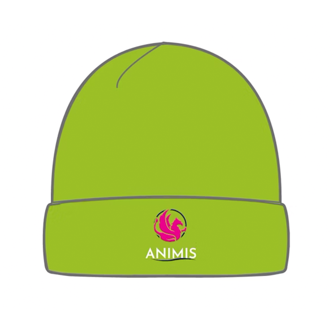 Lime Green - Cuffed Beanie Hat