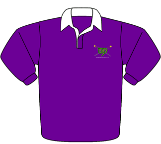 Purple - Classic Rugby Shirt