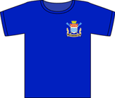  - Royal Blue - Cotton Tee