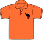  - Orange - Classic Polo