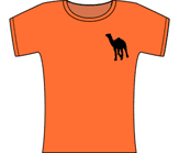  - Orange - Ladies Cotton Tee