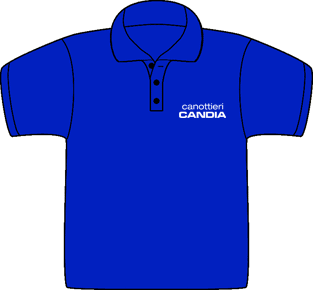 Royal Blue - Classic Polo