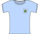  - Sky Blue - Ladies Cotton Tee