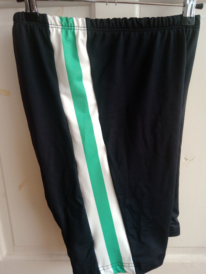 Green Stripe Shorts - XXXL